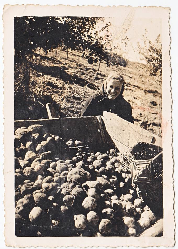  „Švyturio“ kolūkio bulviakasis. Prie bulvių vežimo – Emilija Mikalajūnaitė-Anilionienė  